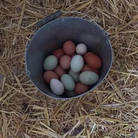 Gutshof Bartl 1 * Klagenfurt am Woerthersee