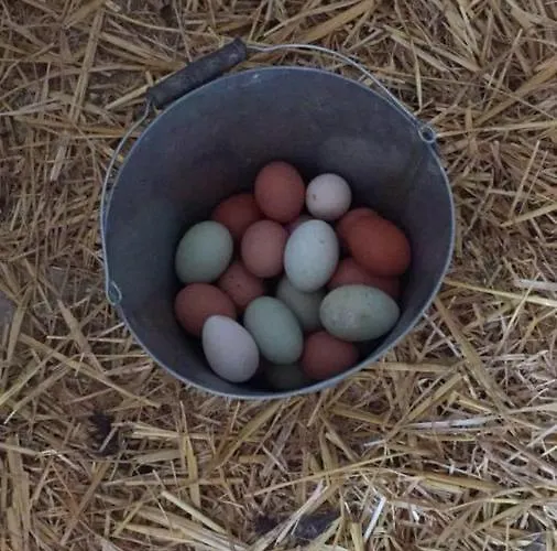 Gutshof Bartl 1 * Klagenfurt am Woerthersee