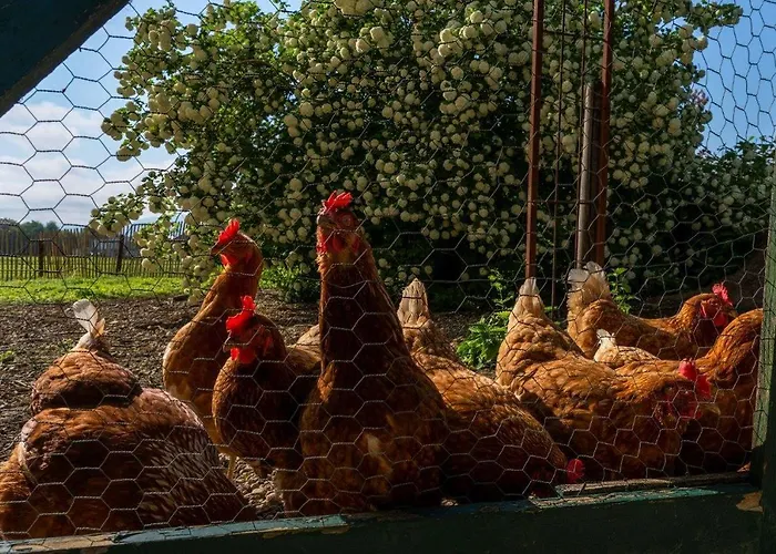 Gutshof Bartl 1 Lejlighed Klagenfurt am Woerthersee